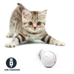 Rolling Cat Toy Ball - Image 8
