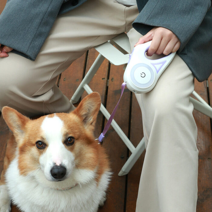 GlowLeash Pro – Retractable LED Dog Leash & Collar - Image 2